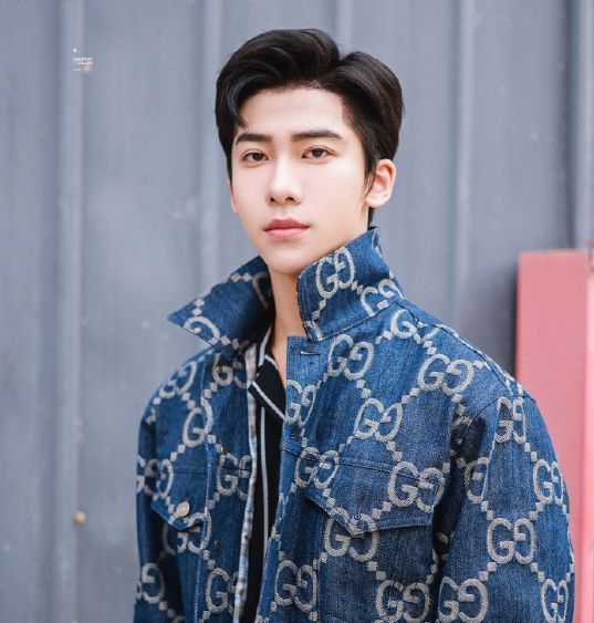 丁泽仁|丁泽仁评论区遭沦陷,网友喊话他退出娱乐圈,并向王一博道歉