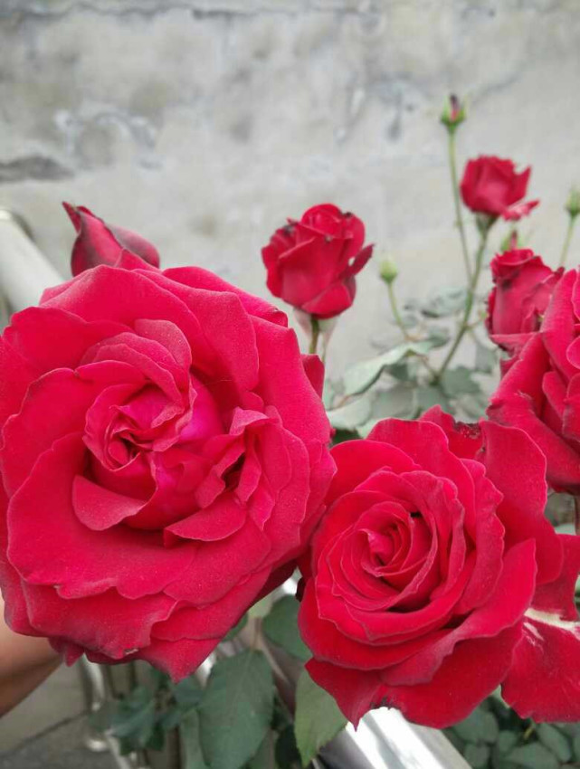 远嫁北方农村，婆家的婚房让我哭笑不得，卧室没床，厨房谁见过？