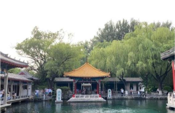 山东24岁女子每天用5块钱,网友吐槽太抠门,结果发现小丑是自己