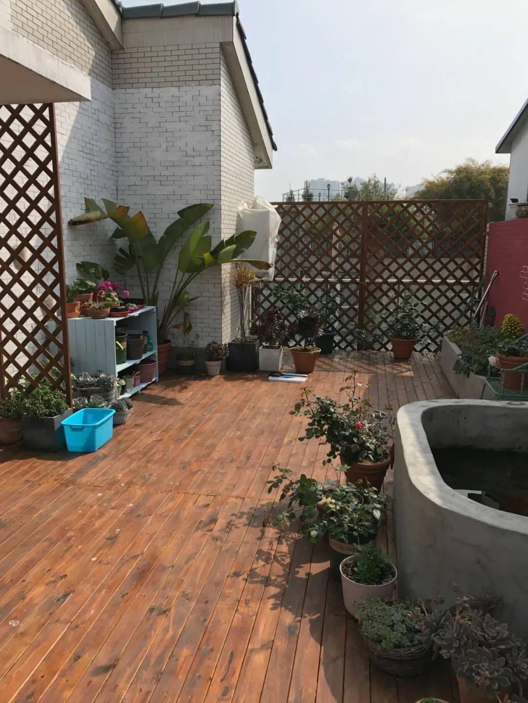 买了栋，复式双露台房，历时4年改造成露台花园，太好看了