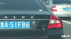 |“钓鱼的时候飞到我手上的，第一次见，有知道这是什么的吗？”