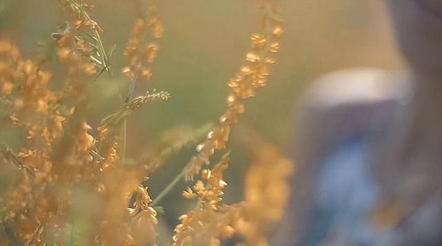 人到中年|人到中年，要学会演戏，该装就装