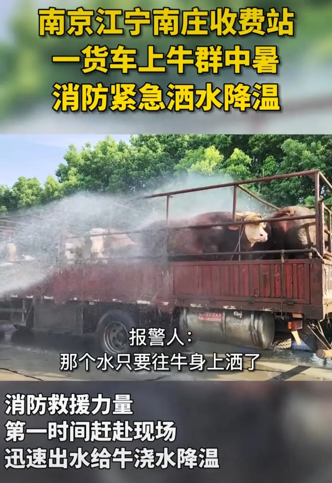 江苏南京。江宁区的一高速收费站出口,一位货车司机碰到一个大难题