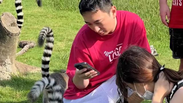 王思聪|被封杀依旧潇洒，王思聪带四位美女游玩，几个女人相处超和谐！