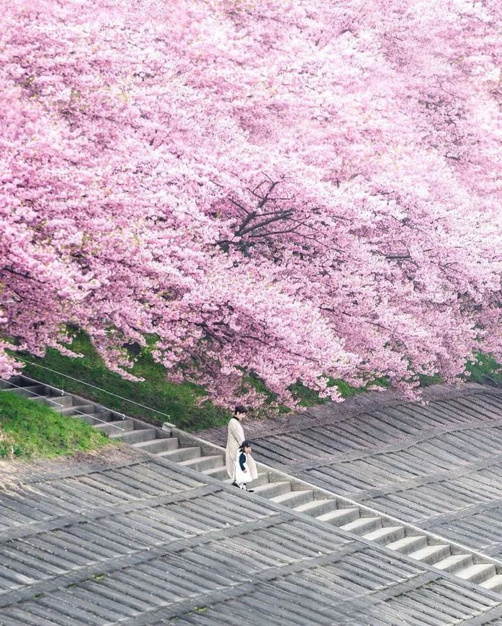 埼玉县|日本社交网络上点赞最多的美景前10，竟然是这些地方