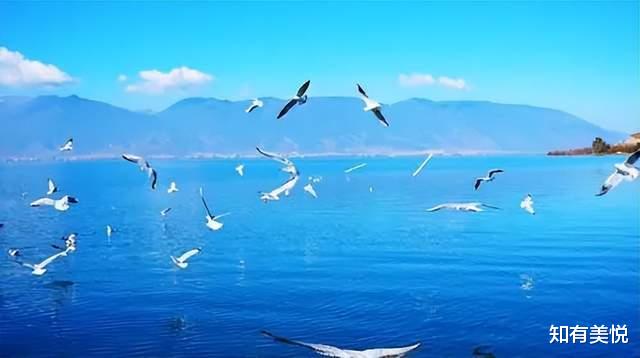 旅行|远离喧嚣！国内12个清闲自在的小众旅行地，疫情后来一场放空之旅