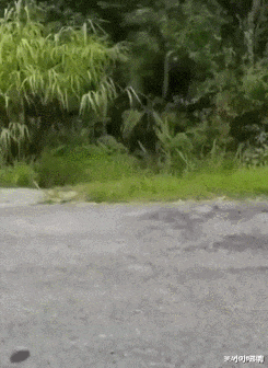 范冰冰|“我老婆很像范冰冰,你们是不是嫉妒了?”评论区精彩了!