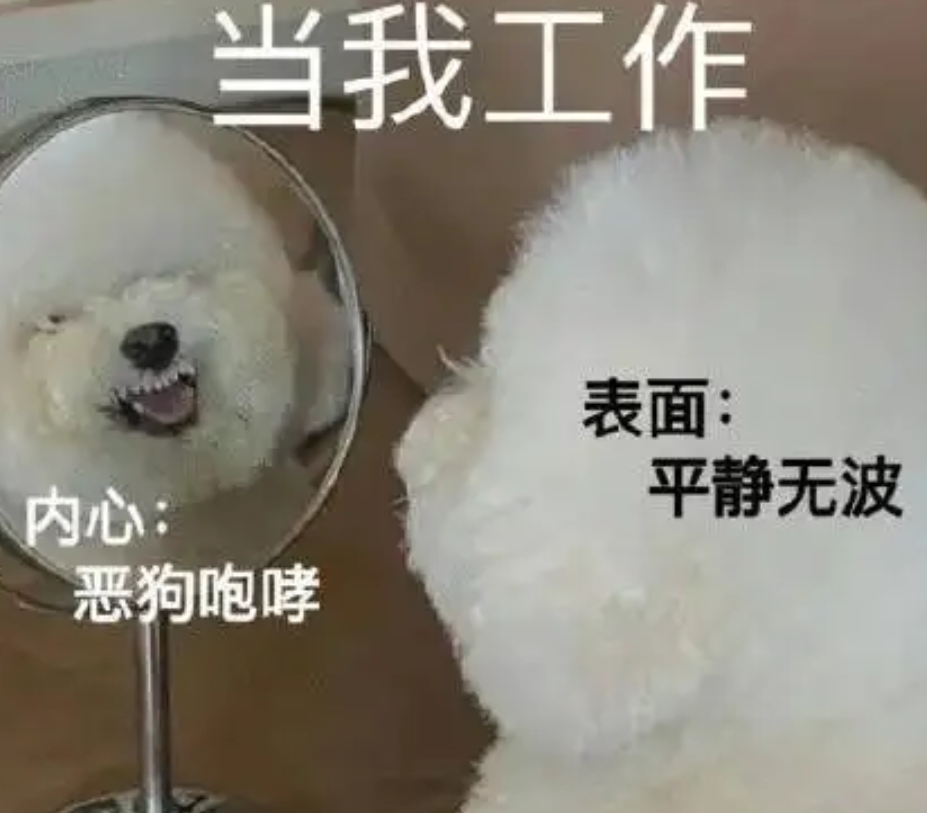 求职|最近有一批卷上岸的年轻人，正在经历“跳崖式”落差