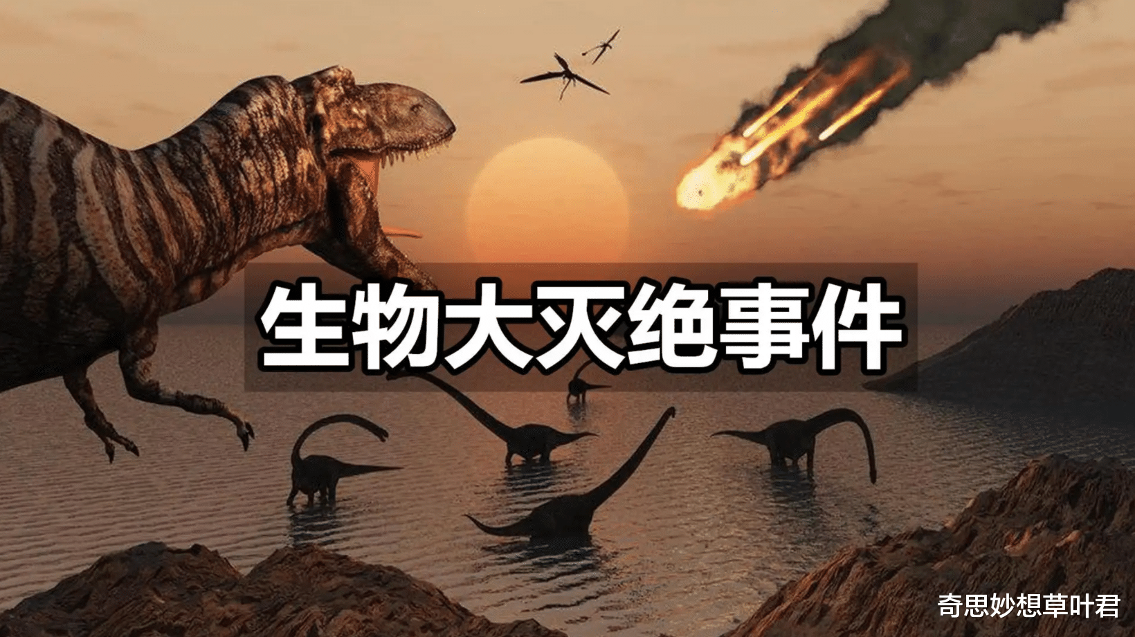 灾难!地球正在经历,第六次生物大灭绝?人类能否顺利逃过灭绝的命运?