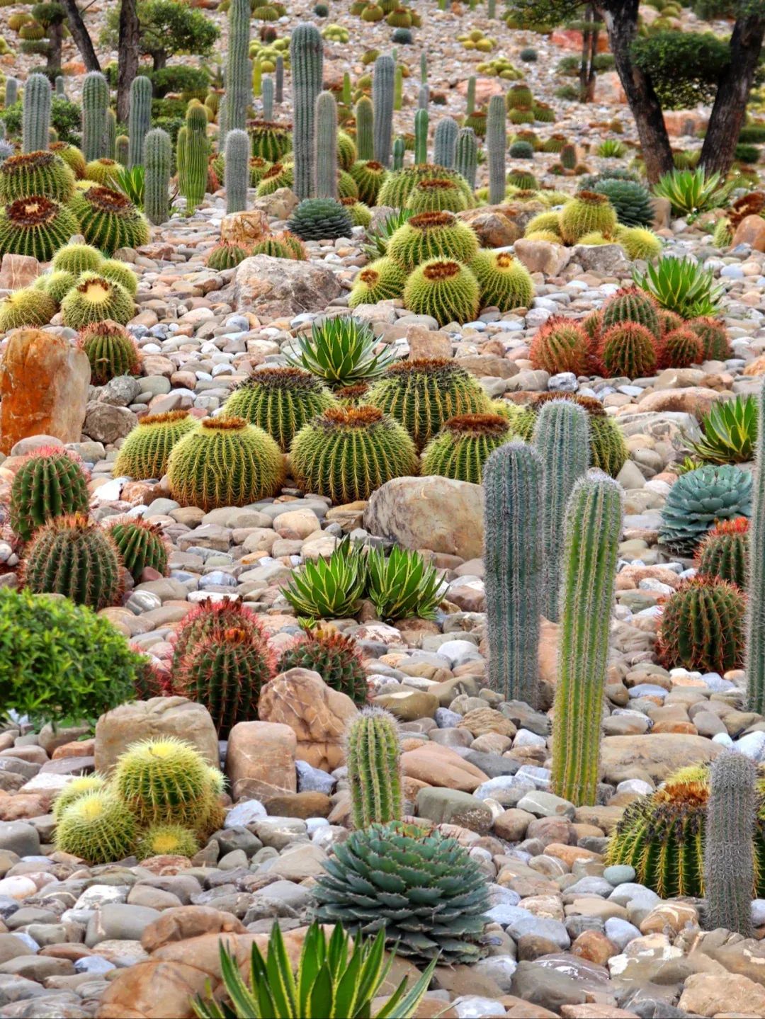 无量山|挖到一座20℃的避世小城，人均30畅泡温泉，一秒穿越摩洛哥，秋冬躺平正合适！