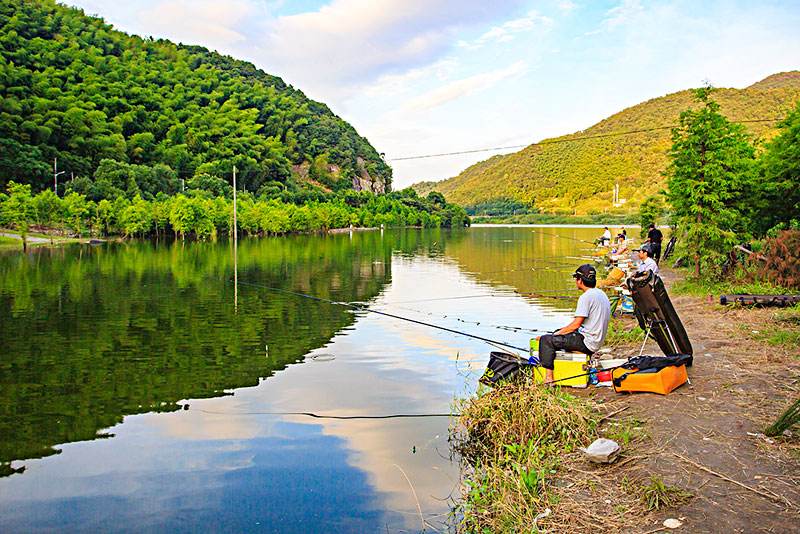 饵料|秋天里钓鱼,这7个小技巧不可小觑,能让你钓得不亦乐乎
