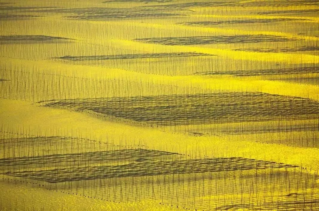 霞浦|一旦去了霞浦，其他地方都成了将就。