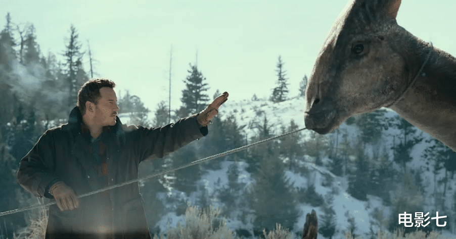 漫威|2022年好莱坞大片，漫威和DC大乱斗，《阿凡达2》终于要上映了