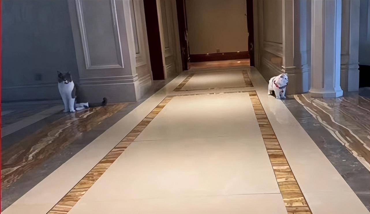 超级马力欧兄弟|男盗女娼6年后,马蓉的“遮羞布”,终究被儿子王子豪亲手扯下