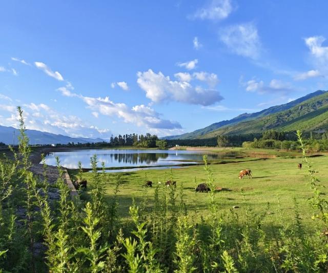 大理|云南低调的小县城,知晓的人不多,去过很想养老,距大理并不远