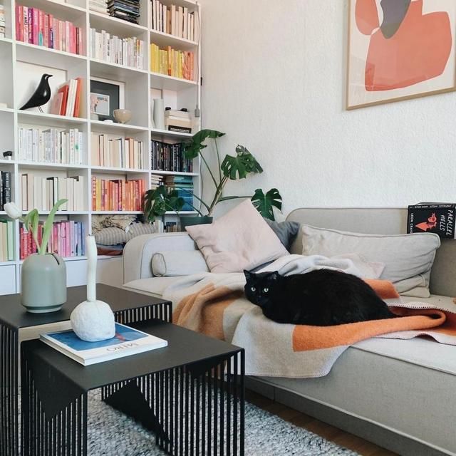 家居|柏林40岁大叔靠自己努力买房，全屋不豪华，但一进屋就被治愈了！