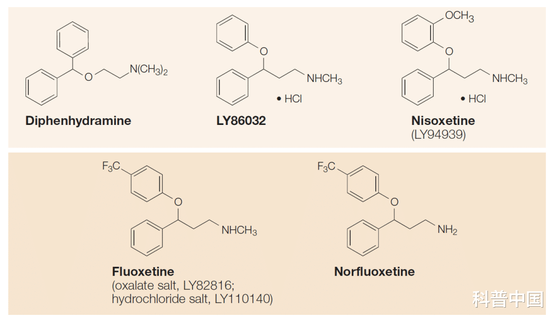 抑郁症|百忧解犹未解：抗抑郁新药路在何方？
