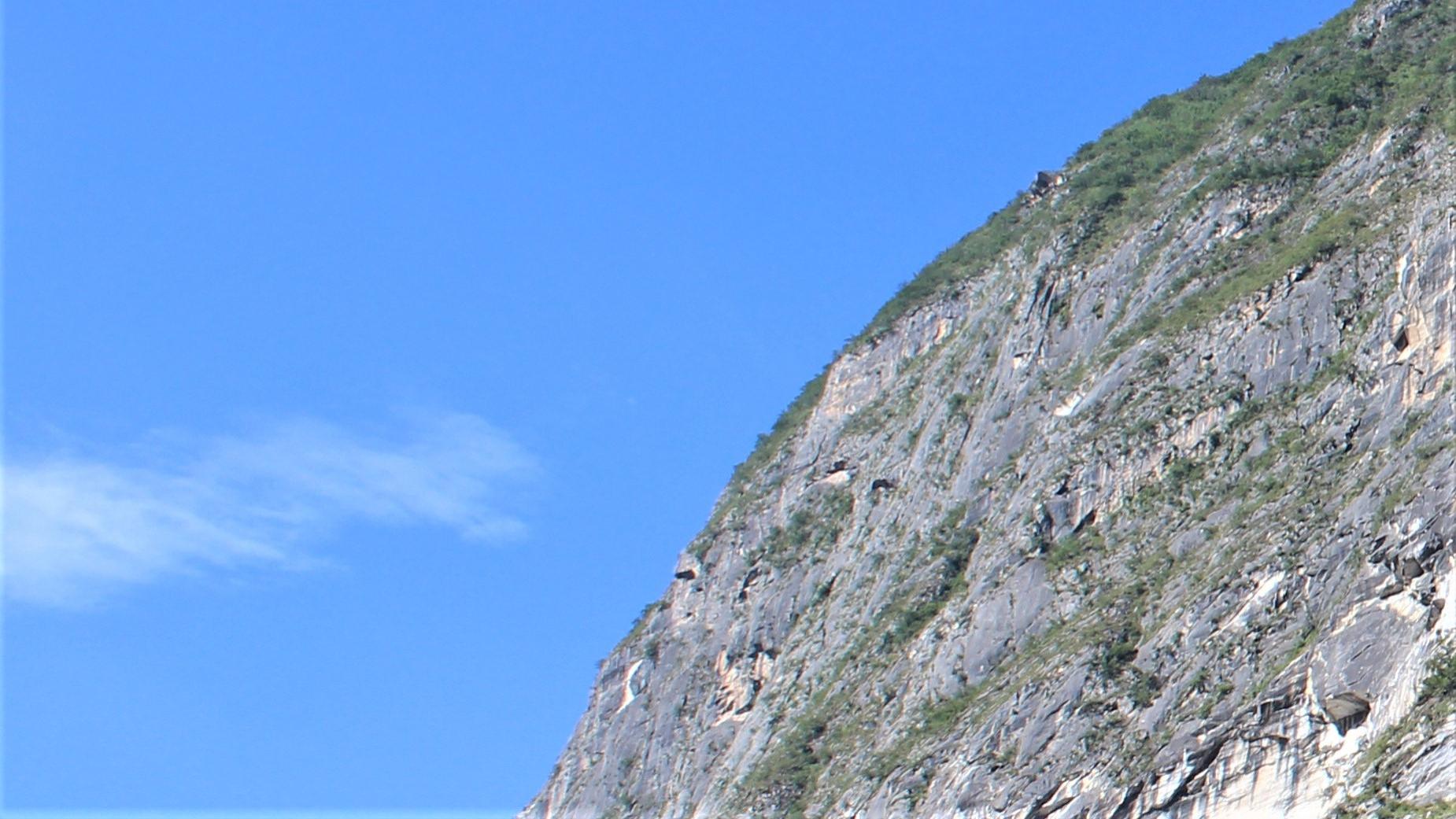 tiktok|团队半死不活，算是谁的锅？