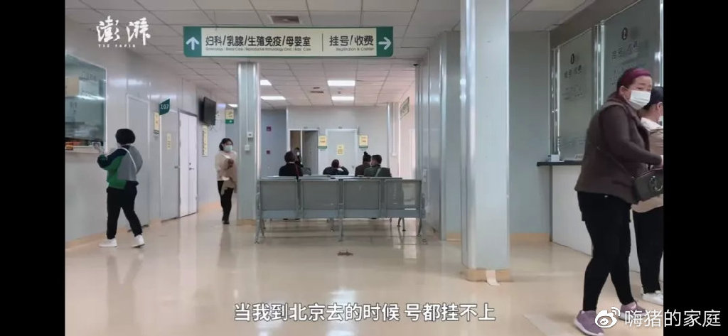 12年前,那个60岁冒死生下双胞胎的失独母亲,现在怎么样了?