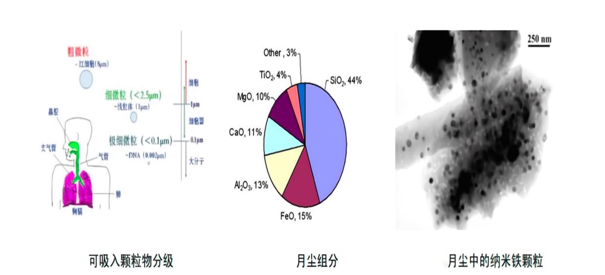 太空回来基因变异、肌肉萎缩!宇航员可能才是最危险的职业