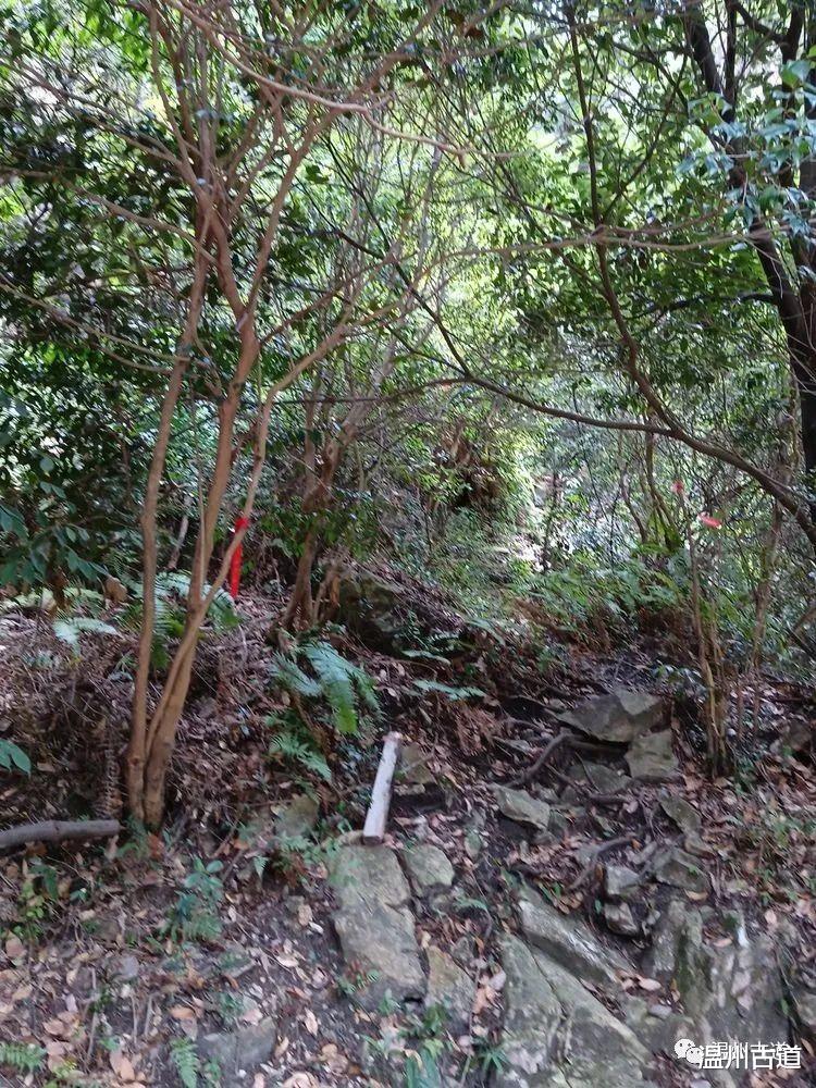 雁荡山|超详细攻略！雁荡山这条风光雄奇的栈道，值得你走一次！