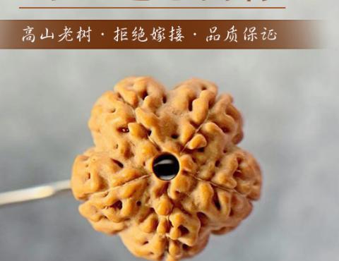 金刚菩提|玩金刚菩提，只选这6种纹路就行，其他的就不要玩了