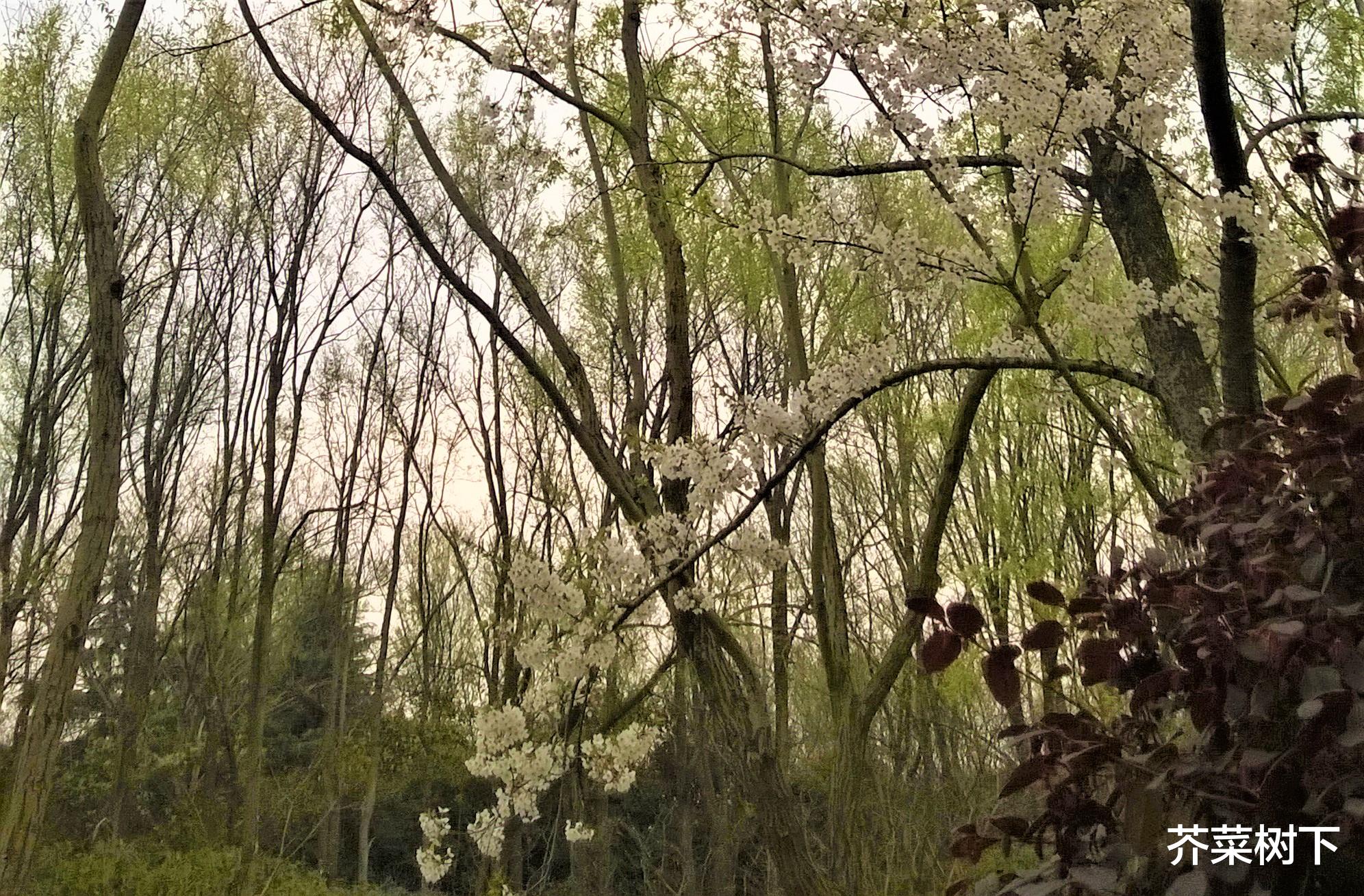 |冷眼职场:捧高踩低,不过是寻常