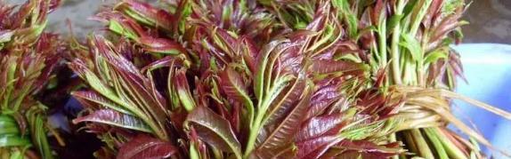 洋葱|血糖高不能吃花生吗?医生:血糖高的人,这4种“素食”或要少吃