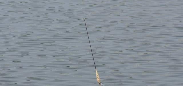 半半歌|当你学会调漂,离走空就不远了?关键点详解