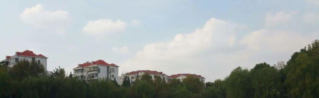 预告|上海这些地方,千万不能碰