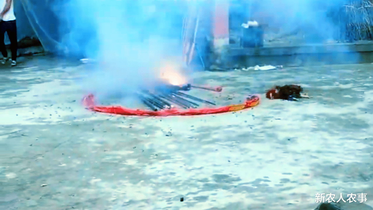 |重庆一男子钓鱼习惯性“空军”，直接在院子里做法，网友：不正式