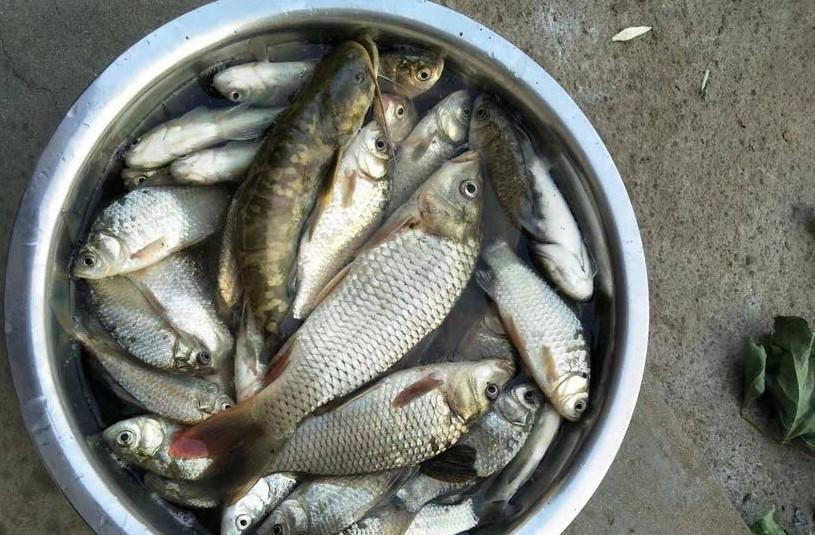 |钓鱼人有分类,喂鱼是其中之一,钓友你属于哪一类