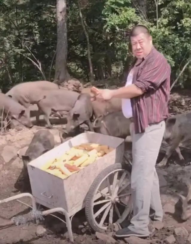 秦卫东|“许大马棒”秦卫东深夜直播,身材消瘦脸颊凹陷,言辞激动怼网友