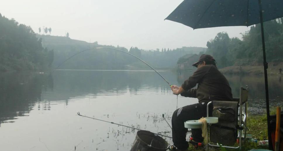 |秋季好钓鱼,为什么你还是会空军?