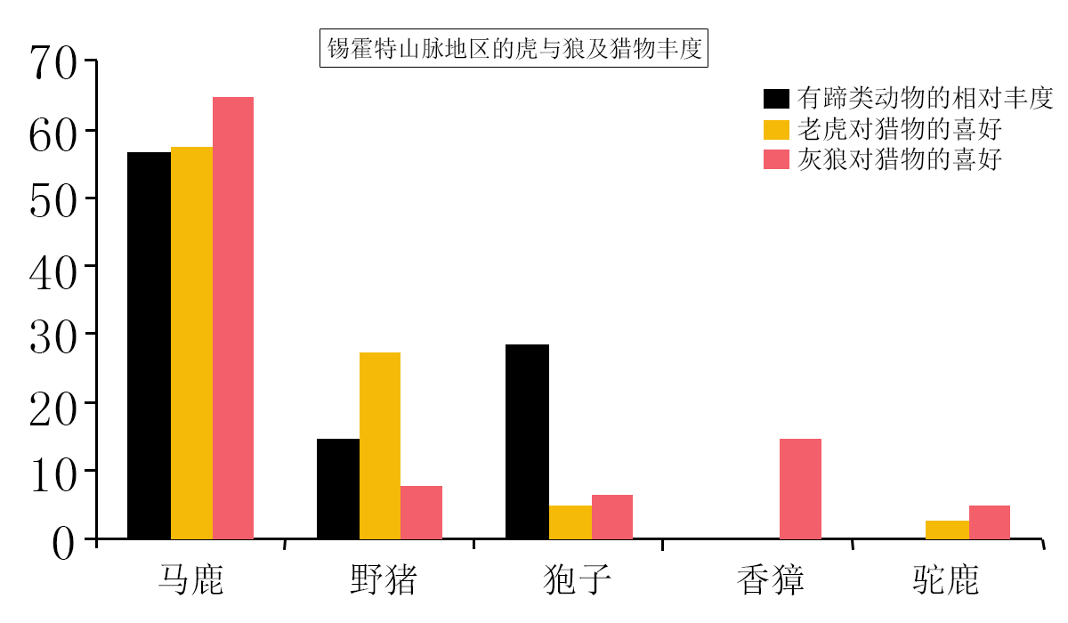 远东的兽王之争,豹子识趣远离纷争,东北虎对狼单方面屠戮