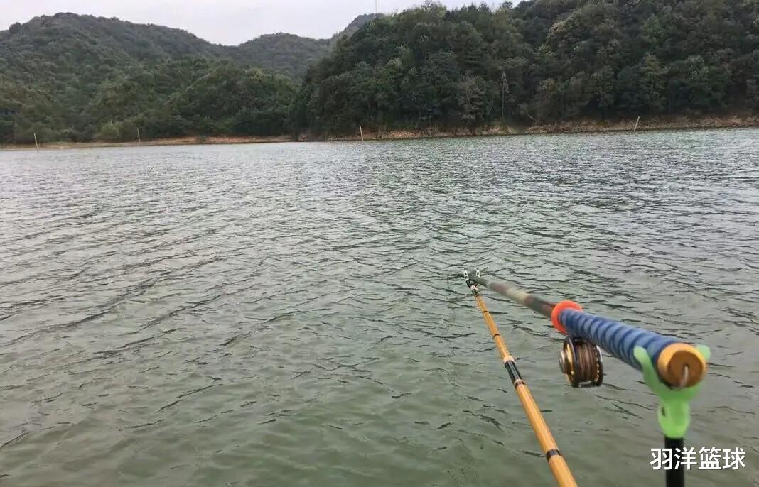|新手野钓，不懂开饵和调漂？没那么复杂，野钓做好两点就行