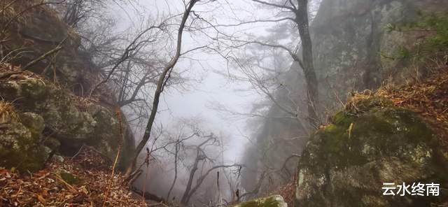 松鼠|为了看云海，爬了个寂寞的山，一路上看到的松鼠比人多
