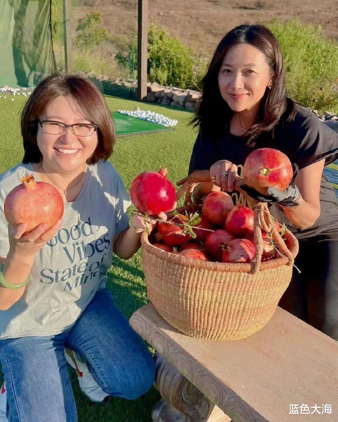 冷冻卵子|冻卵九年的徐静蕾，竟然亲自怀孕了？