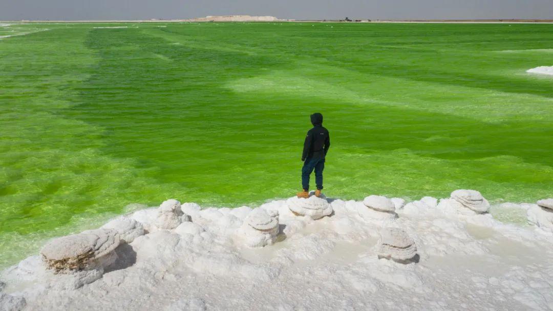 敦煌|风光最极致的大西北,跟着老司机玩了一趟,沿途美到封神!