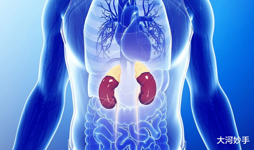 心律失常|冬天养肾,天时地利人和,缺一不可