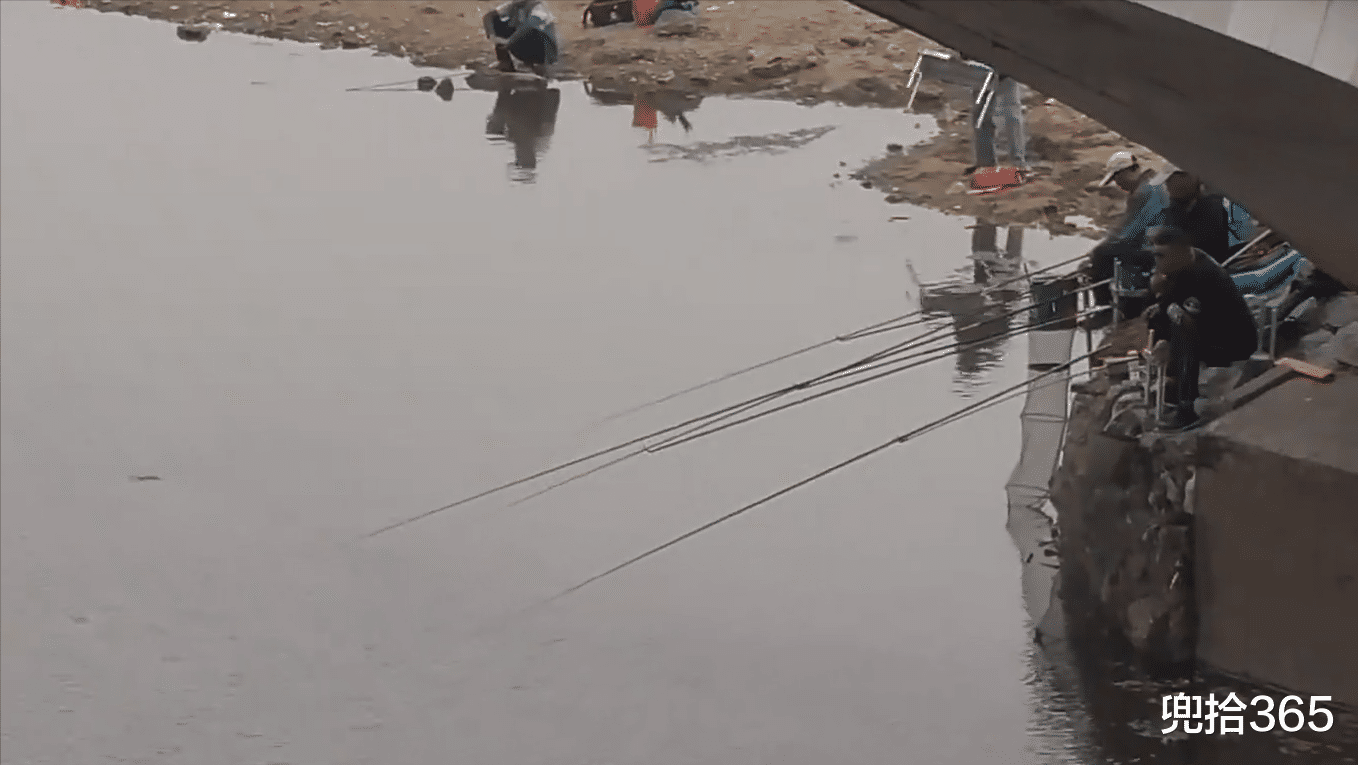 河南|河南一河道成天然黑坑，成百上千的钓鱼人蜂拥而至，网友：该管管