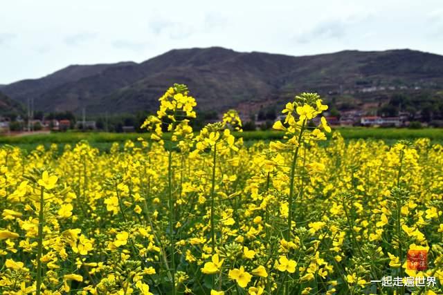 甘肃|夏天去哪玩？甘肃有一个地方，既漂亮，又凉爽