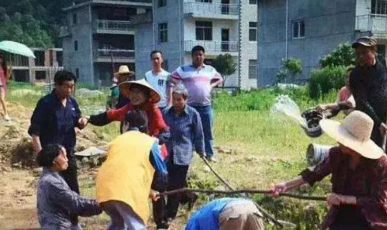 贵州怀孕女子救下病重黄狗, 13年后儿子下落不明, 老狗提供重要线索