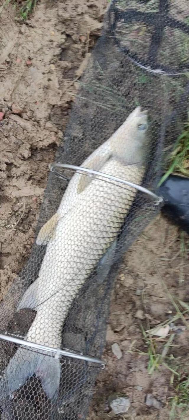 |【做钓报告】留恋2022,展望2023!