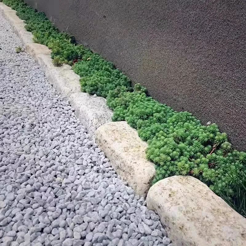 北方庭院设计的“四大禁忌”，别让美好的憧憬成为遗憾！