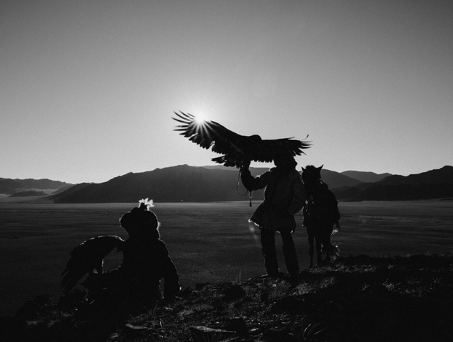 |如诗如画：油画草原，飞翔牧民