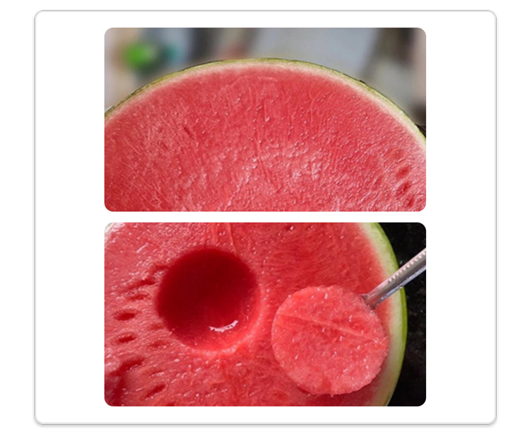 西瓜|现在的西瓜太甜了,大部分打了激素?真相可能和你想的不一样