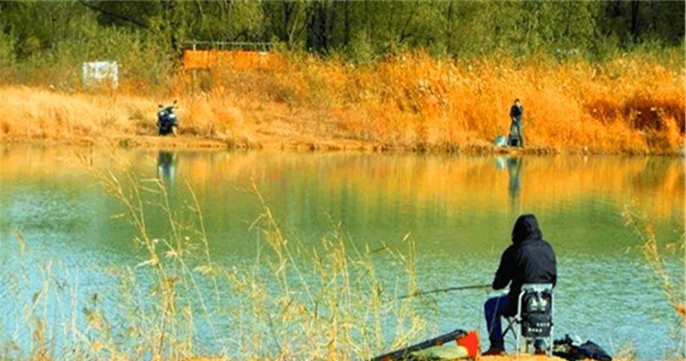 |晚秋野钓，2不选2不钓，天气变冷，钓鱼技巧跟着变