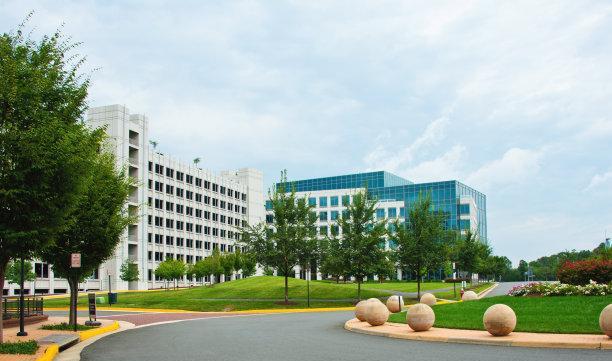 大学|山东这3所大学已官宣,学校将迎来升级,并且 学校将迎来改名