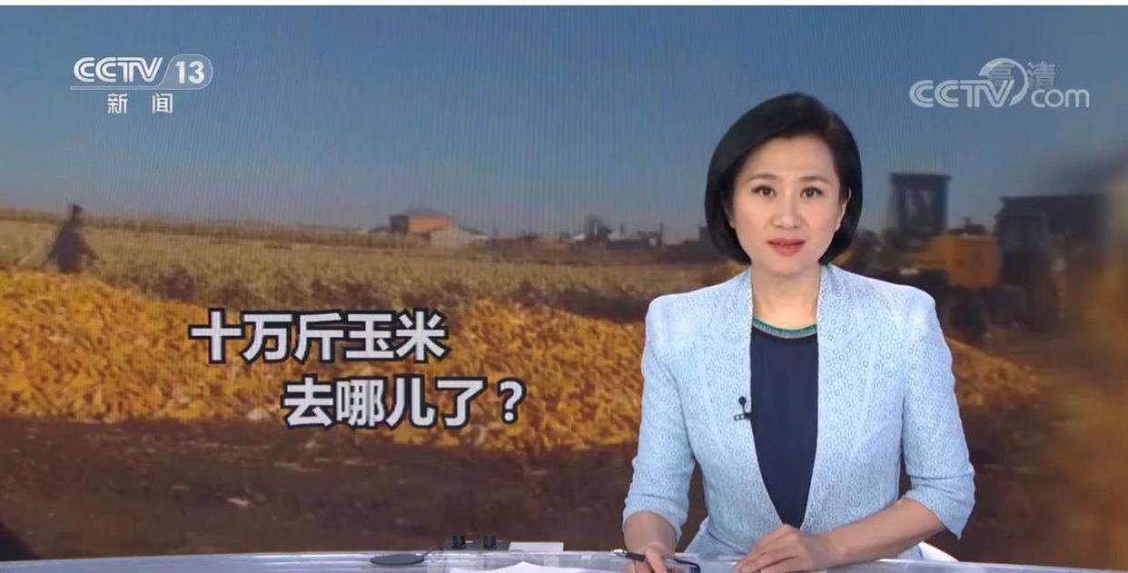 黑龙江哈尔滨,农民10万斤待收玉米一夜之间被盗,警方快速破案